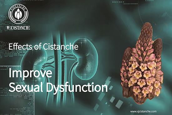 cistanche for treating kidney disease