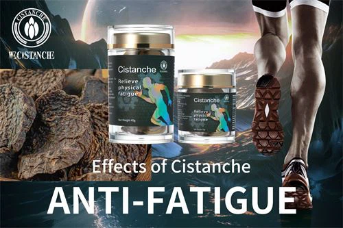 cistanche procudct cistanche procudct