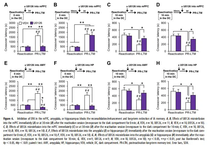 Inhibition of ERK in the mPFC
