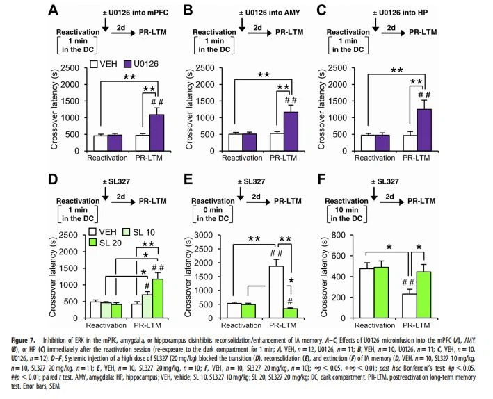 , amygdala, or hippocampus disinhibits