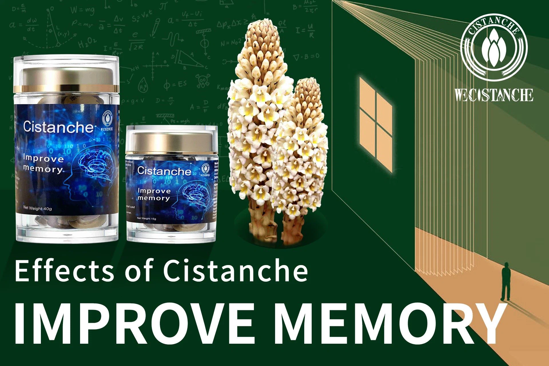 improve memory Cistanche effects