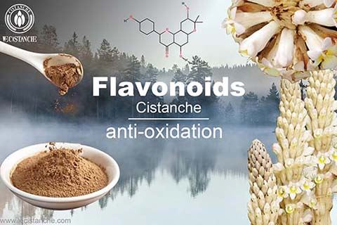 Flavonoid (9)