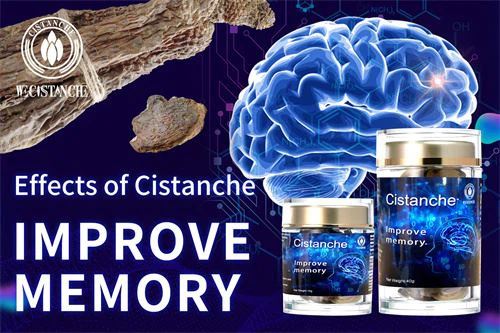 cistanche supplement: improve memory