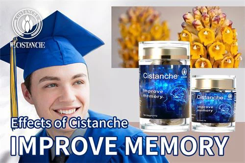 cistanche supplement: improve memory