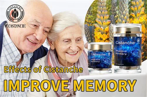 cistanche supplement: improve memory