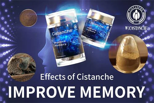 cistanche supplement: improve memory