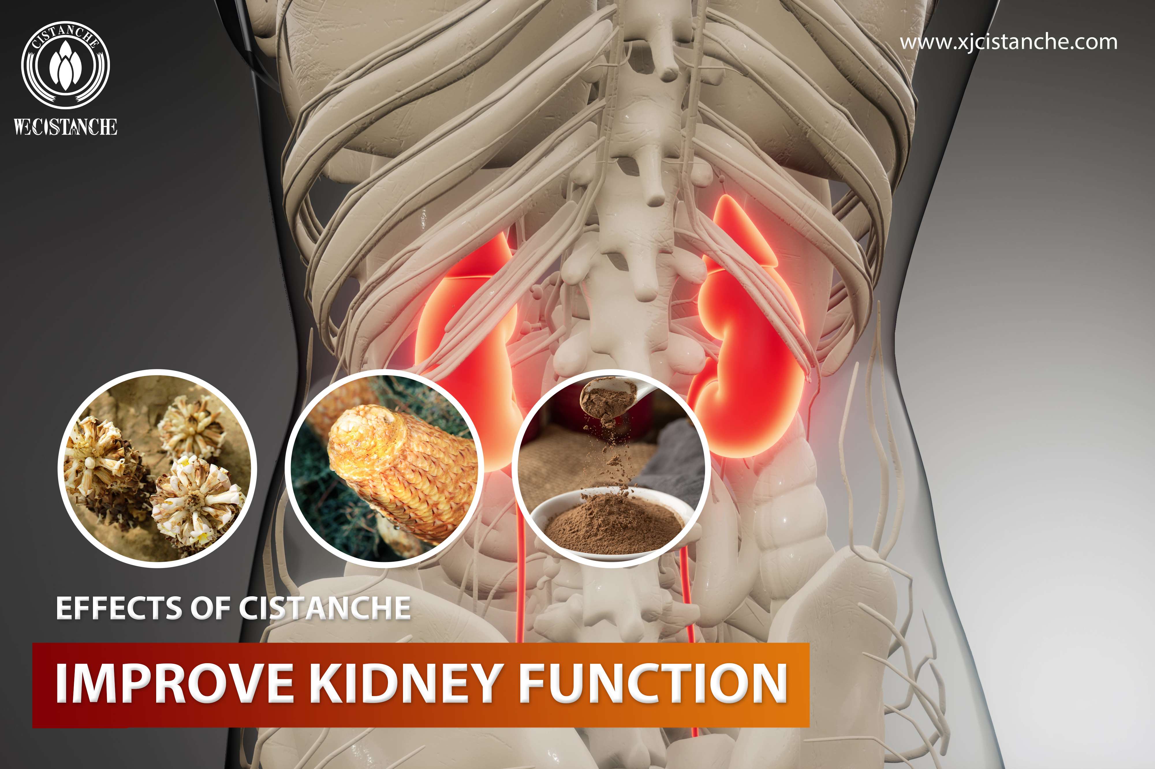 the best herb for kidney disease