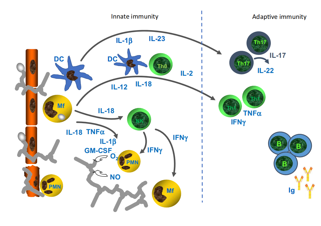1654655944717 1654655944717