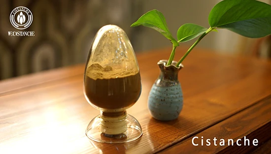 Cistanche extract benefits Cistanche extract benefits