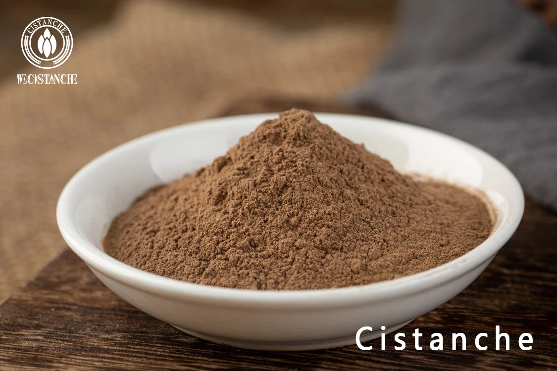 Cistanche Extract Cistanche Extract