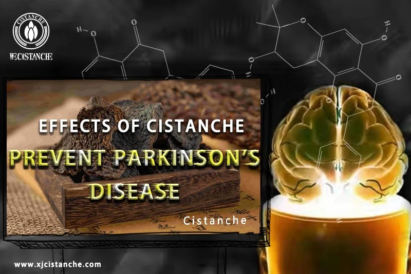 cistanche tubulosa dosage