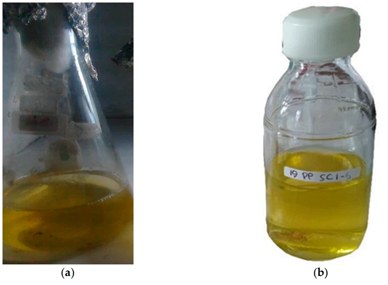 cistanche screen research