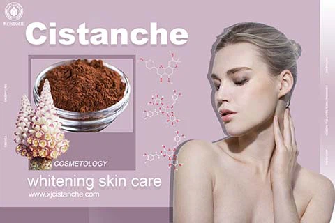 Cistanche has a whitening function 4