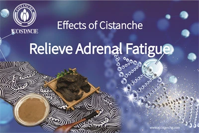 how to take cistanche