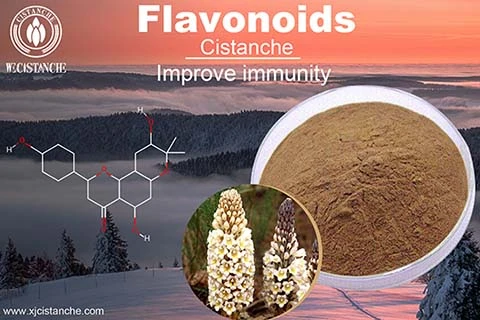 best herbs for covid