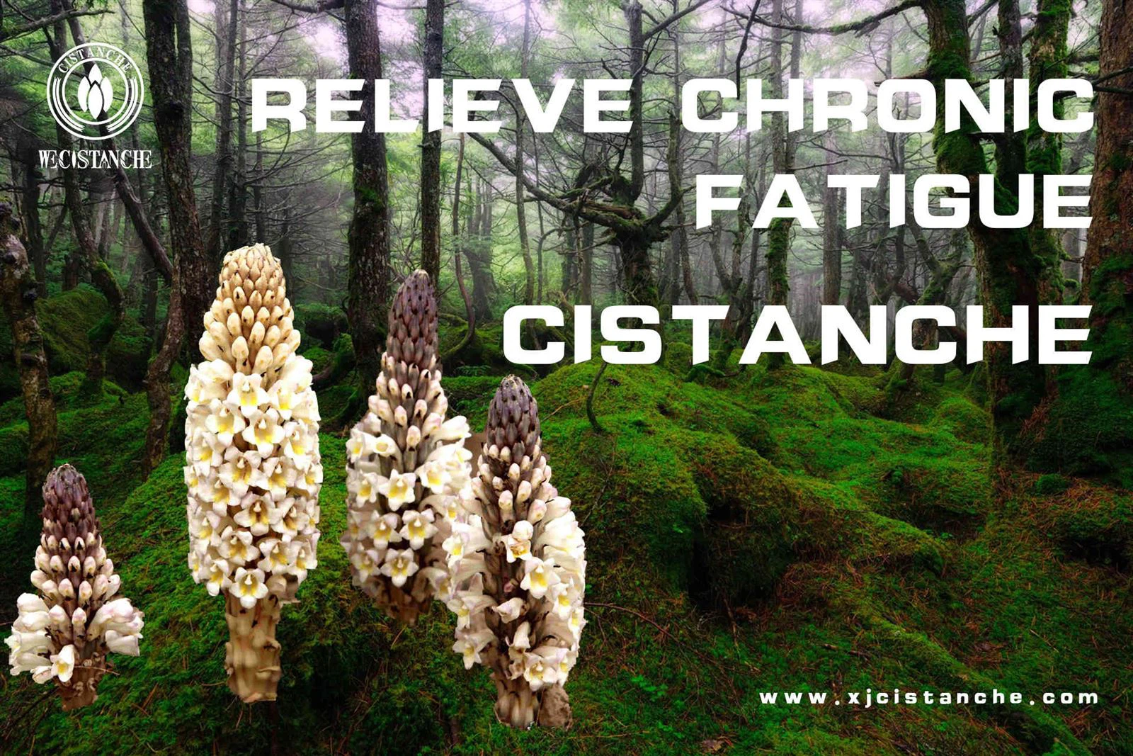 chronic fatigue syndrome (2)