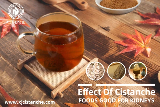25% Echinacoside Cistanche For Improve Kidney 25% Echinacoside Cistanche For Improve Kidney