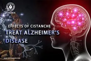 memory enhancement
