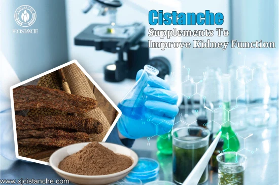 CISTANCHE EXTRACT WITH 25% ECHINACOSIDE AND 9% ACTEOSIDE FOR KIDNEY FUNCTION CISTANCHE EXTRACT WITH 25% ECHINACOSIDE AND 9% ACTEOSIDE FOR KIDNEY FUNCTION