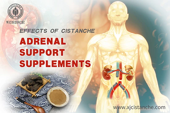 Cistanche deserticola efficacy-Tonifying kidney (4) Cistanche deserticola efficacy-Tonifying kidney (4)