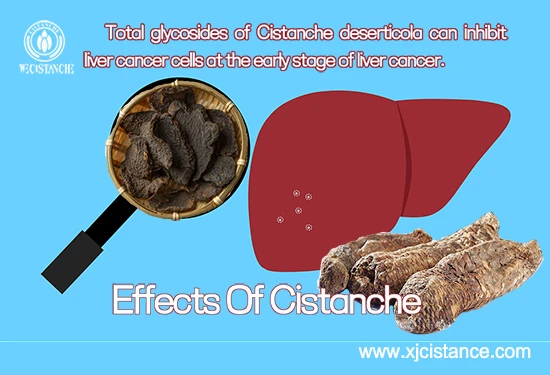Total glycosides of Cistanche deserticola