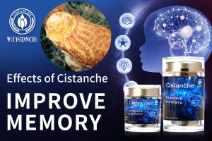 10 ways to improve memory 10 ways to improve memory