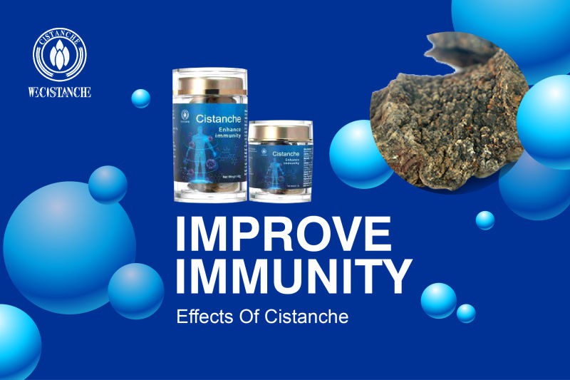 Cistanche Tubulosa for improving Immunity
