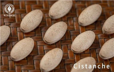 Suplemento Enhnche Memory Funciton Cistanche Tubulosa
