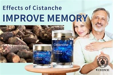 Melhore a memória e previna a doença de Alzheimer confie nisso! Ginseng do deserto Cistanche