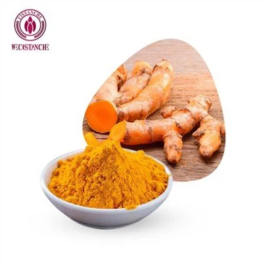 Extrato de Raiz de Cúrcuma em Pó