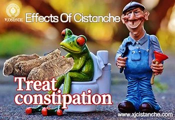 effect of cistanche effect of cistanche