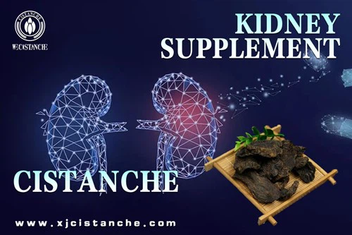 kidney supplement kidney supplement